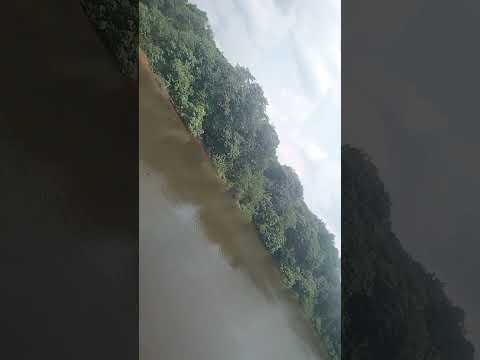Saindo da Canutama parte 4 Colocação Macacos