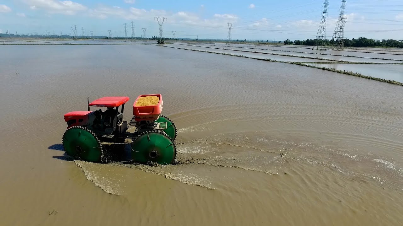 ARROZ PRÉ-GERMINADO GANHA ESPAÇO NO RS!
