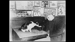 Big Joe Williams Rather Be Sloppy Drunk (1952)