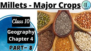 Millets | Major Crops | Agriculture | Class 10 Geography Chapter 4 | NCERT UPSC