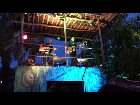 GUY SWINNEN live in De Wase Vijverwinkel