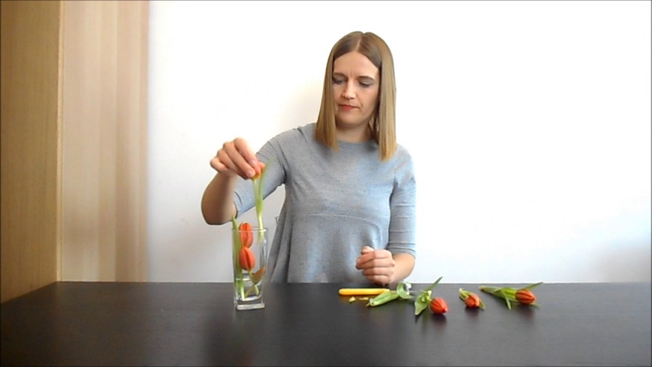 Watch #36 Tulipany i szklanka, Elegancka dekoracja na stół z Tulipanami now #36 Tulipany i szklanka, Elegancka dekoracja na stół z Tulipanami