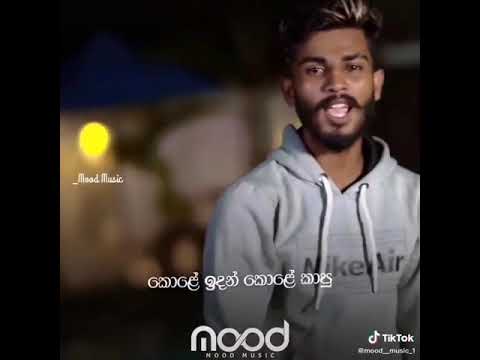 Thunduwen Passe (ගිනියම් හිත් 2)_Maali ft TRK ft Shaggy SRS ft Vky Max