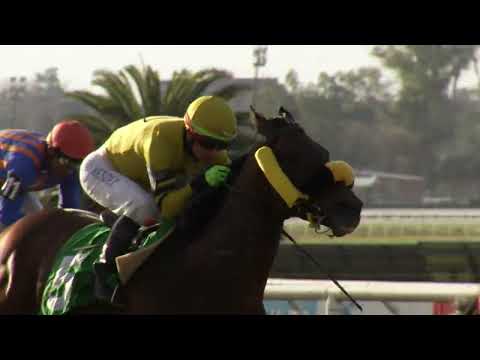 230730 c05 QUINTA EMENDA (BRZ)