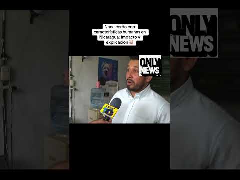 #nicaragua #cerdoconcarahumana #malformacion #genetica #eltumaladia #sucesos #inusual