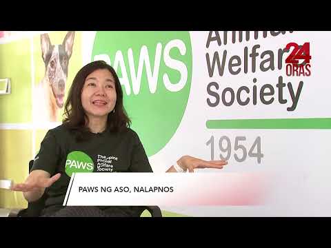 Paws ng aso, nalapnos 24 Oras