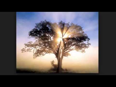 Meditation of the Violet Flame Energy Clearing