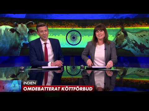 Här bryter programledarna ihop efter sexinslaget i Aktuellt | SVT