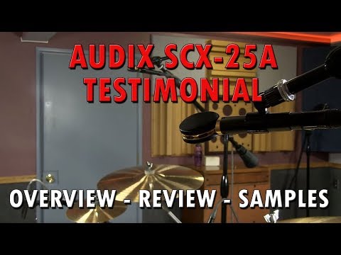 The Audix SCX25A - aka “The Lollypop
