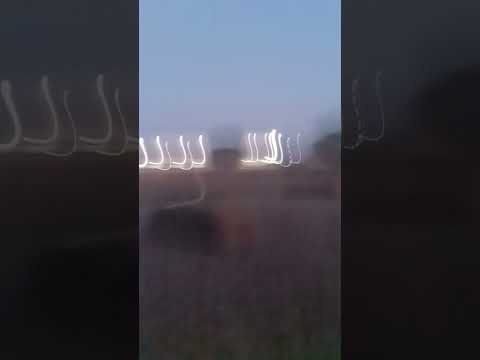 Hello, guys.Video chala with like jesus subscribe ki💪💪💪