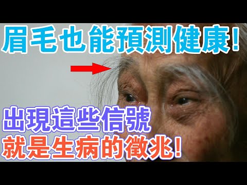 眉毛長白毛是什麼意思