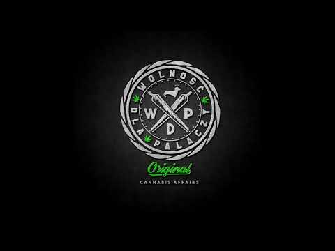 Gizmo WDP  - ,,Stary gizmo 2006-2011 "