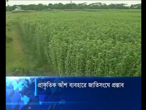 প্রাকৃতিক আঁশ ব্যবহারে জাতিসংঘে প্রস্তাব