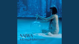 Following Dolphins (Soundplant Remix by Lele Sacchi, Painé, Goedi)