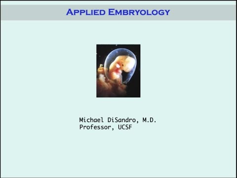 10.20.20 PedsUroFLO Lecture - Applied Embryology
