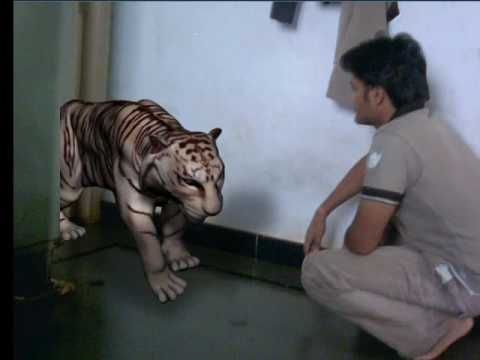 Sangamesh Tiger