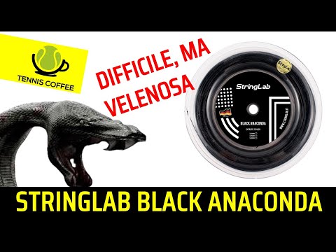 STRINGLAB BLACK ANACONDA monofilamento ☢️ SPIN a volontà 🔨 ma il resto è da metterlo di braccio