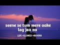 Seene Se Tum Mere Aake Lag Jao Na Lofi Slowed Reverb Arijit Singh TodaySong ️ Asish Babuyt