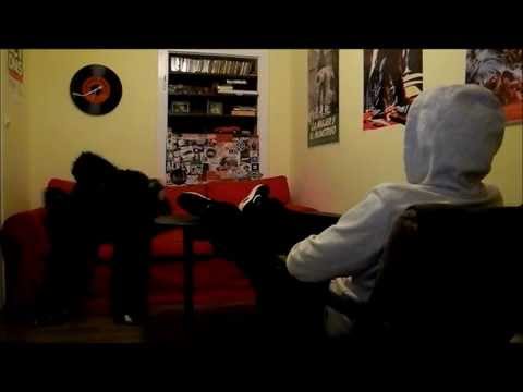 vreins PHIlIPP THE IllEST vs. SPOTLYTE VBT 2015