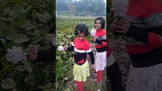 Download lagu জলে ভাসা পদ্ম mp3