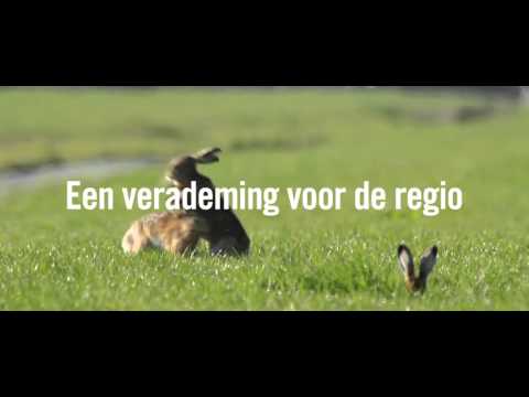 Hazendans - Edwin Haighton - van6naar10procent.nl