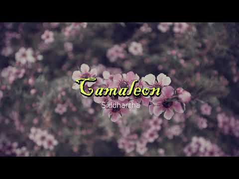 Camaleón - Siddhartha