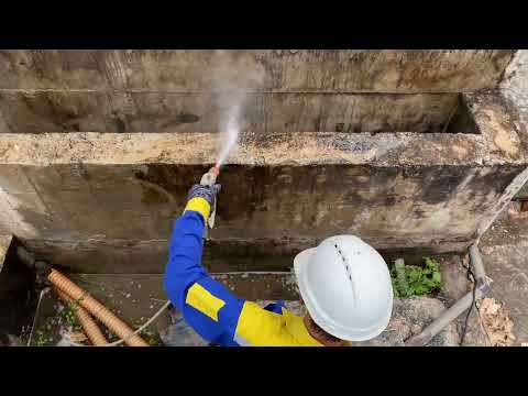 Thi công tẩy Rông Rêu BestClean C44