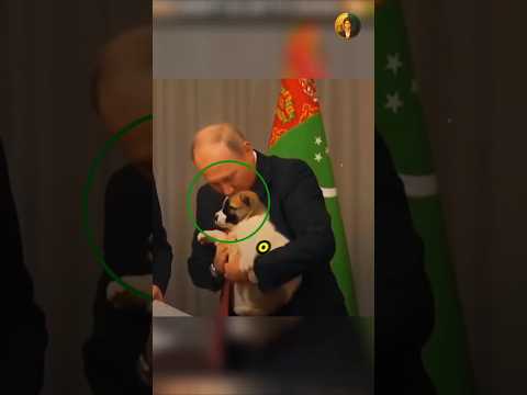 Putin ama cachorrinhos