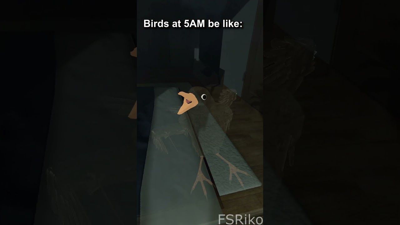 🐦Birds at 5AM be like #necoarc #vrchat