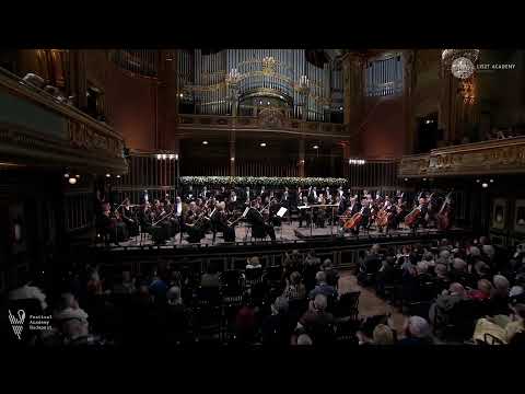 Andreas Ottensamer - Bartók, Violin Concerto No 2 Thumbnail