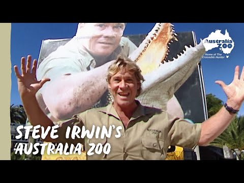 Steve Irwin’s Gift to the World | Australia Zoo Life