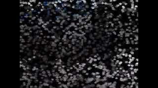 The Last Royals - Crystal Vases Lyrics