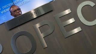 Is OPEC Really Still a Cartel?