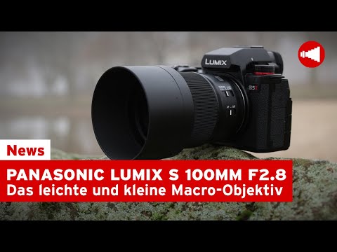 Panasonic Lumix S 100MM F2.8 MACRO - Klein, leicht aber Oho!