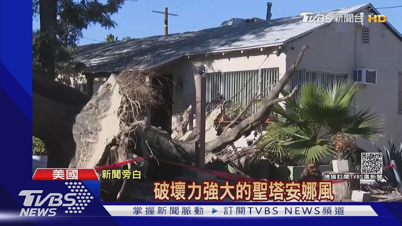 「中颱」級狂風!風暴「亞文」直撲英國 吹倒路樹壓死人