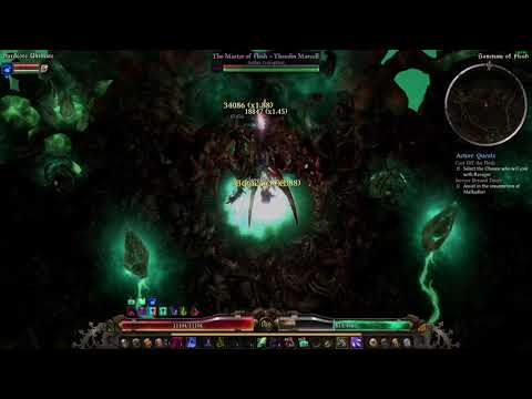 Grim Dawn Witchhunter facetank final boss