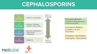 Cephalosporins Pharmacology:  1st to 5th Generations, Mnemonics, Indications and Adverse effects