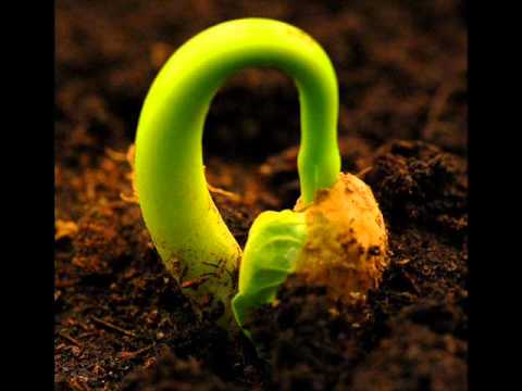 karma aka mzshifty-looking at me .wmv