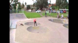 Lilydale bowl -  back flip PENUT (TRANSITIONS)