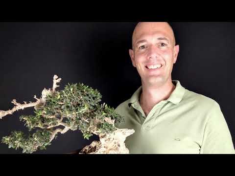 Un 2022 que se va repleto de experiencias… ¡A por el 2023!