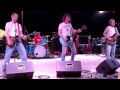 The Reducers - Shake Some Action (orig. The Flaming Groovies)