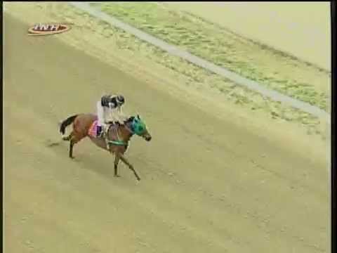 Resumen Sábado, 18 de Octubre de 2014 - La Rinconada