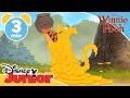 The Mini Adventures Of Winnie The Pooh Geniuses Disneykids