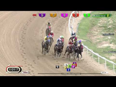 170811 Busan R6 1600m