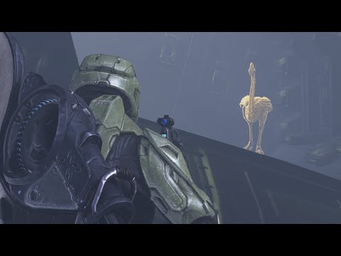 Halo MCC: Golden Moa Locations (27th April - 4th May 2022)