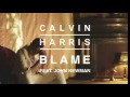 Calvin Harris ft.Jown Newman-Blame 