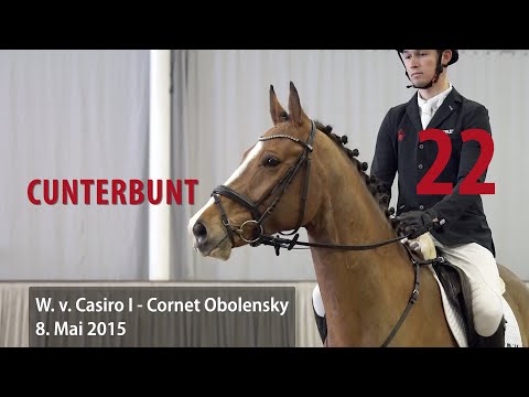 22 Cunterbunt Wallach v. Casiro - Cornet Obolensky