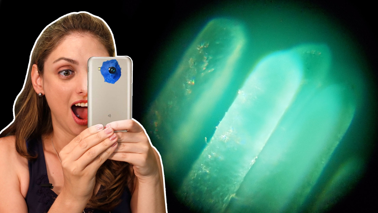 How to make a microscope using cell phone and webcam