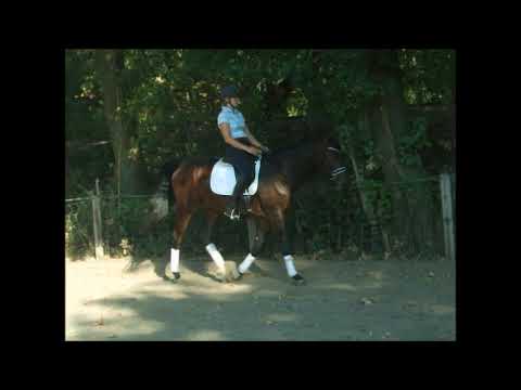 CAPTAIN MORGAN 4j. v. Chetlag - Chacco Blue