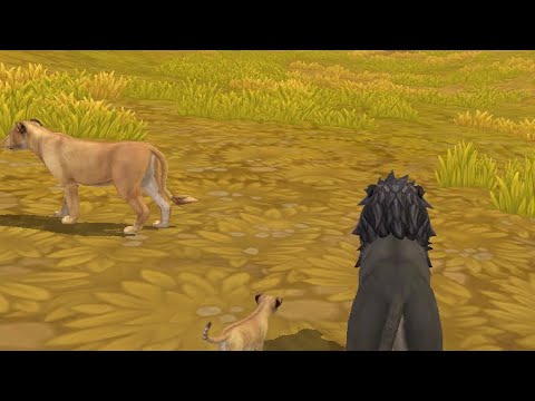 The story of Scarface pt 4 (geting  new lion cub)